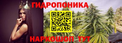 дурь Брянск