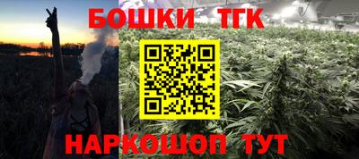 крисы Боровичи