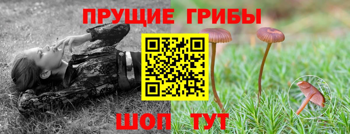 Мытищи  как найти закладки  Вход с VPN  Галлюциногенные грибы Magic Shrooms 