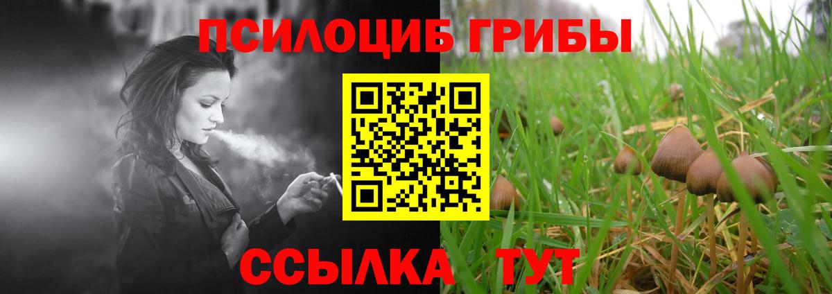 Галлюциногенные грибы Cubensis Мытищи